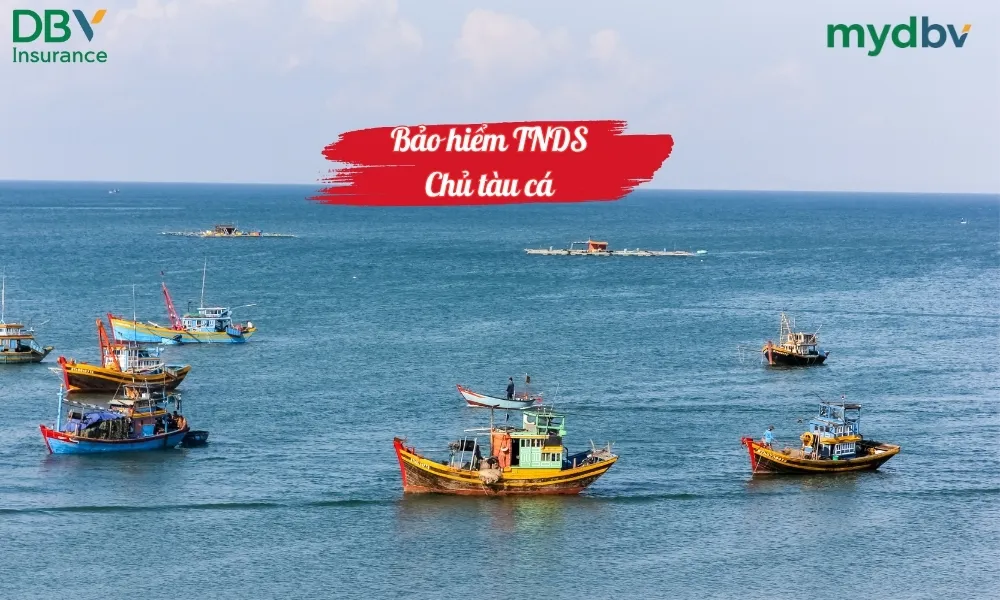 Bảo hiểm TNDS Chủ tàu cá DBV 1 Bảo hiểm TNDS chủ tàu cá