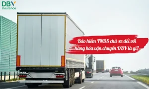 Bảo hiểm TNDS chủ xe đối với hàng hóa vận chuyển DBV là gì