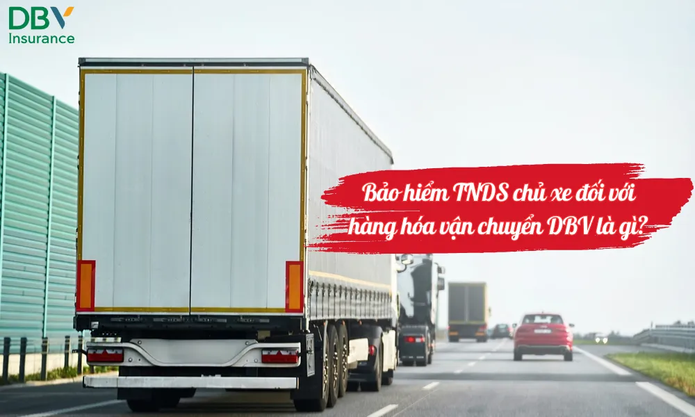 Bảo hiểm TNDS chủ xe đối với hàng hóa vận chuyển DBV là gì