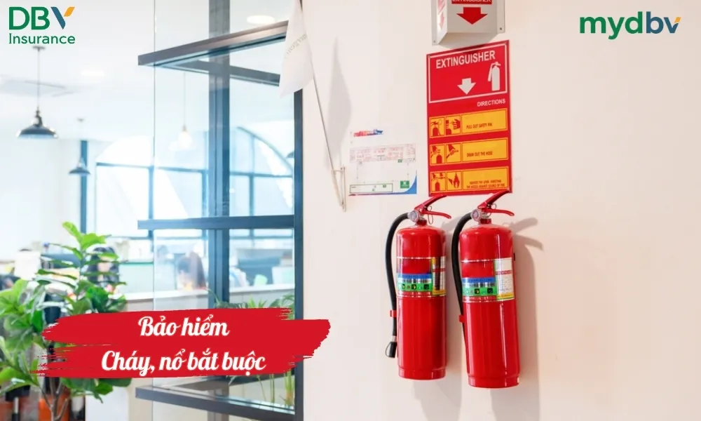 Bảo hiểm cháy nổ bắt buộc