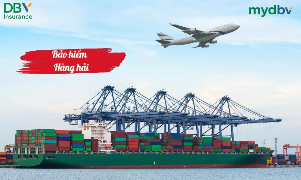 Bảo hiểm hàng hải DBV 1 Bảo hiểm hàng hải