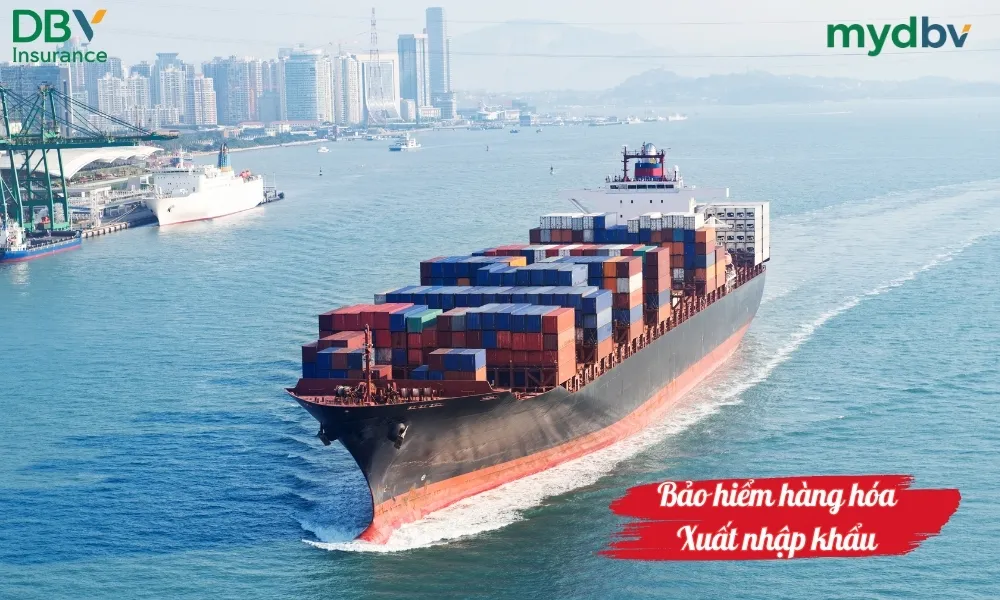 Bảo hiểm hàng hóa xuất nhập khẩu DBV 1 Bảo hiểm hàng hóa xuất nhập khẩu