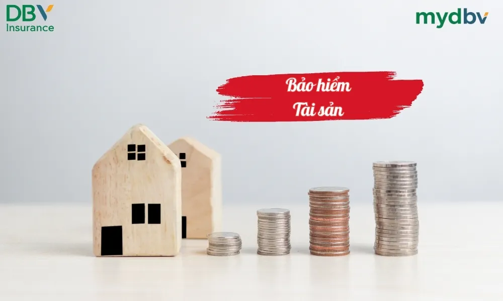 Bảo hiểm tài sản DBV 1 Bảo hiểm tài sản