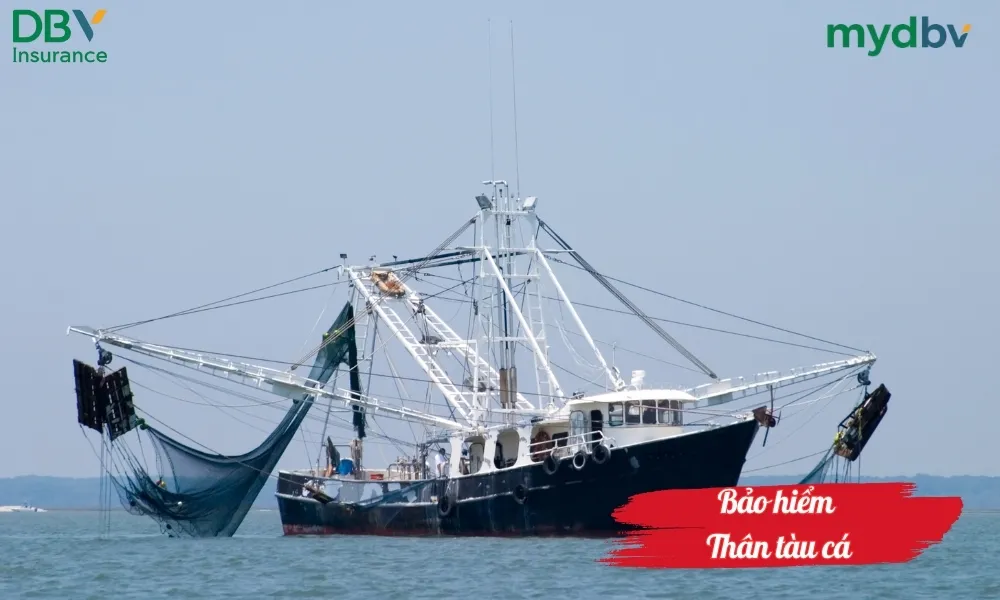 Bảo hiểm thân tàu cá