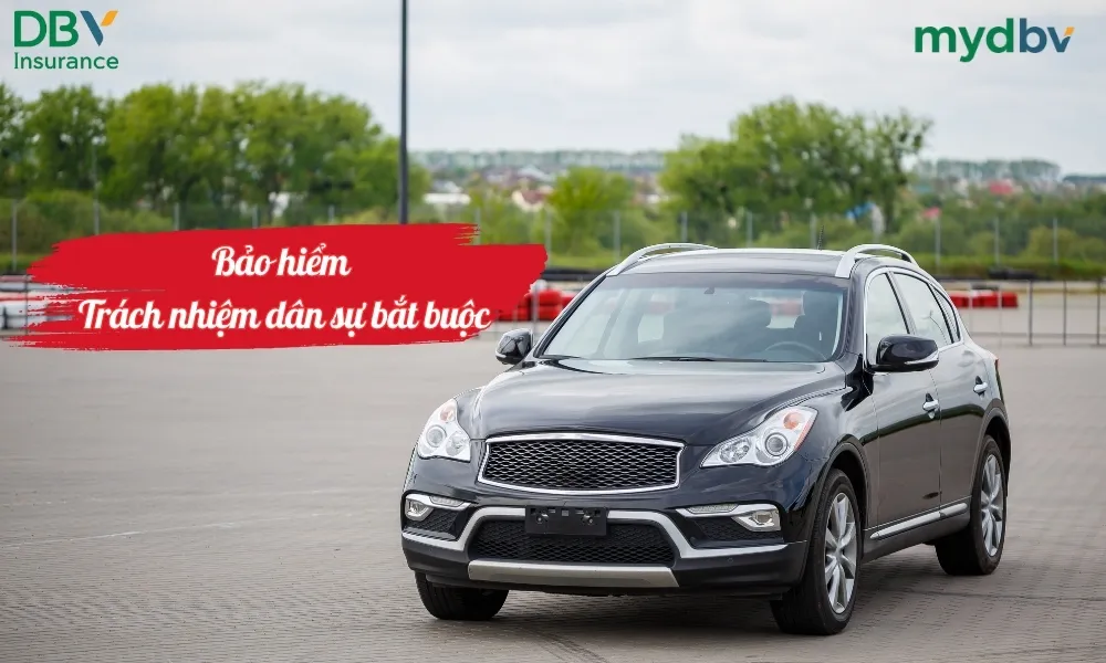 Bảo hiểm TNDS bắt buộc ô tô DBV 1 Bảo hiểm trách nhiệm dân sự bắt buộc