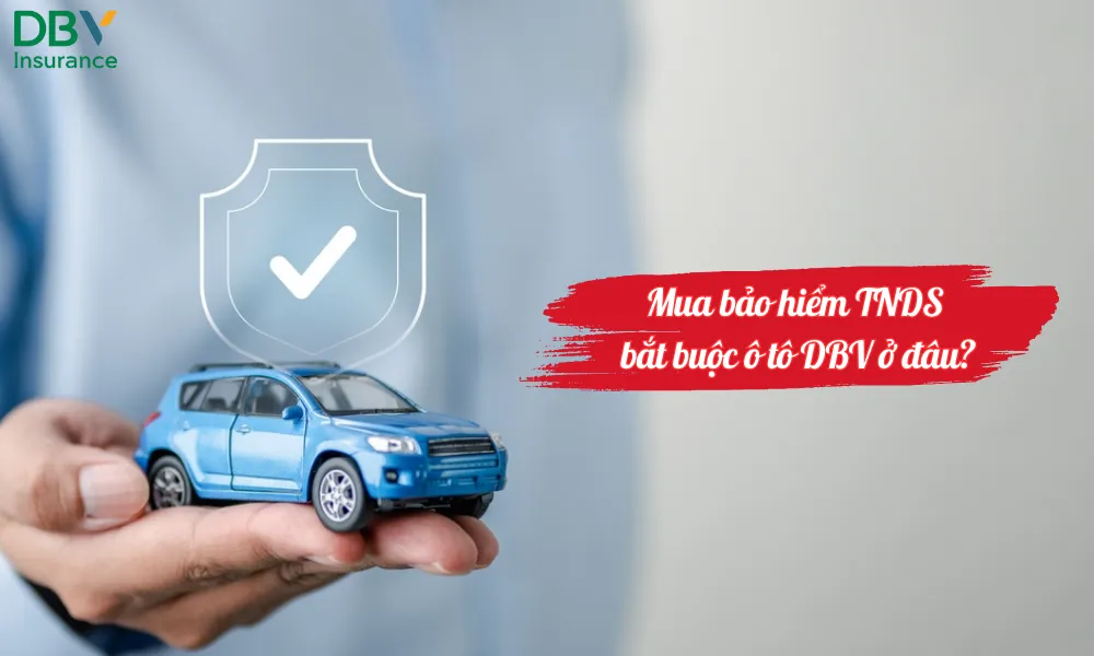 Mua bảo hiểm TNDS bắt buộc ô tô DBV ở đâu
