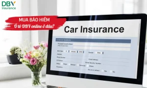 Mua bảo hiểm tô DBV online ở đâu